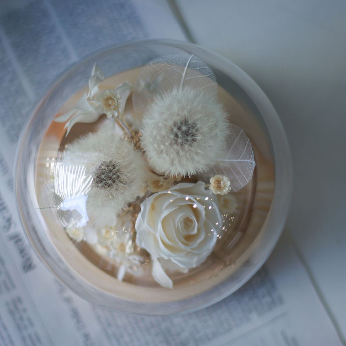 淨 蒲公英玻璃罩